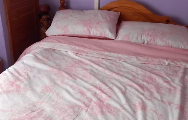 WhatsApp Image 2024-07-04 at 14.53.03