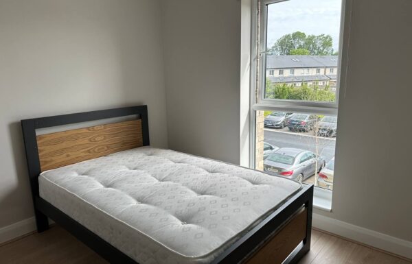 photo_5998806558223482409_y