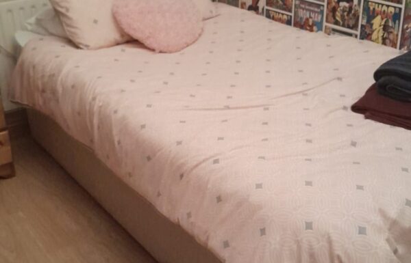 WhatsApp Image 2023-10-09 at 21.41.41