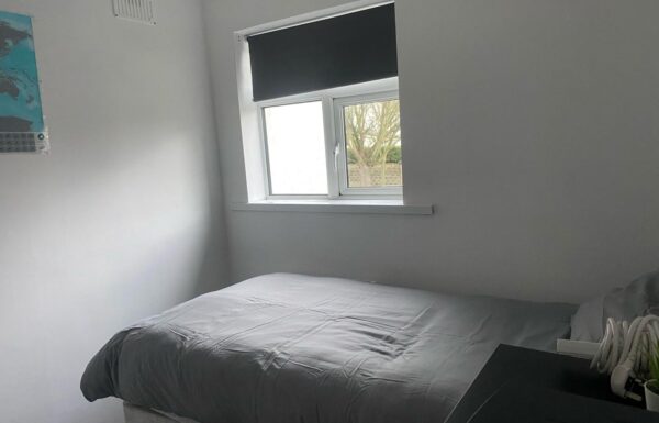 WhatsApp Image 2024-03-25 at 18.14.30