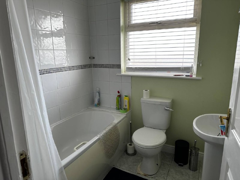 photo1685402232 (1) (1)