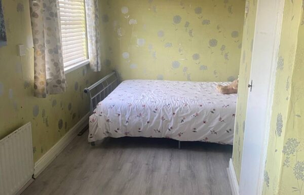 photo_5825529766273468929_y (1)