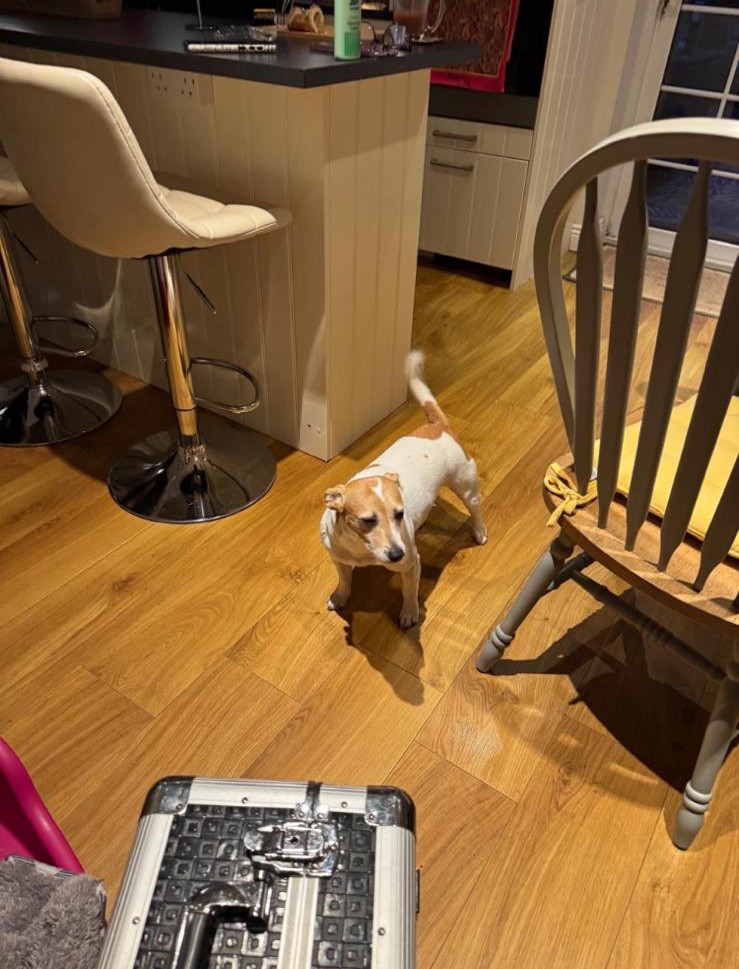 250708da832f4af48d32546cf2e6047e